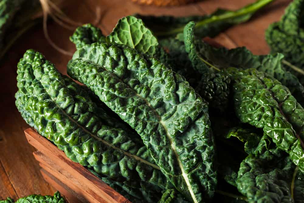 Tuscan (Lacinato) Kale